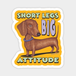 Cute Brown Doxie  with classic pose short legs big attitude Magnet