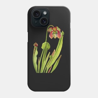 Catesby Pitcherplant - Sarracenia catesaei - Walcott - Botanical Illustration Phone Case