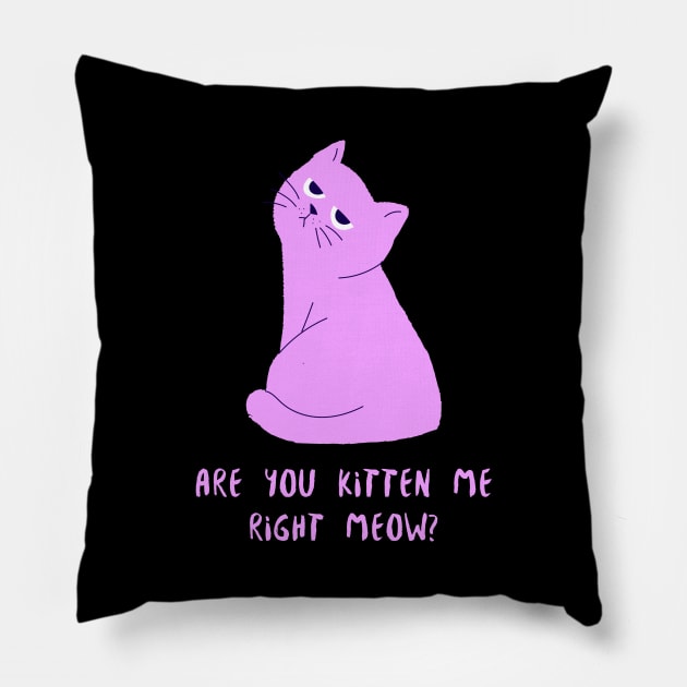 Are You Kitten Me Right Meow, Cute Cat Pillow by EquilibriumArt