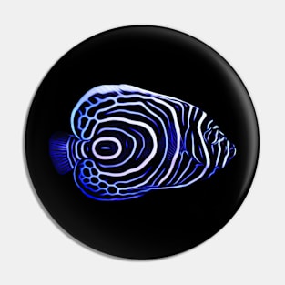 Imperator Angelfish Pin