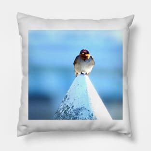 Welcome Swallow Pillow