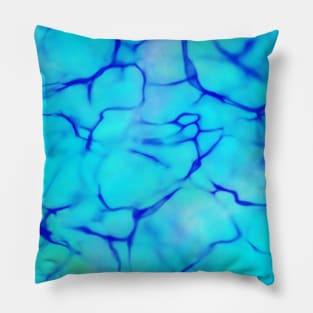 Aqua Pillow