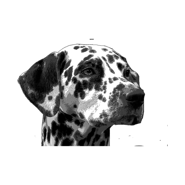 Dalmation by bywhacky