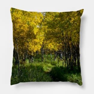 Fall in Canada's foothills Pillow