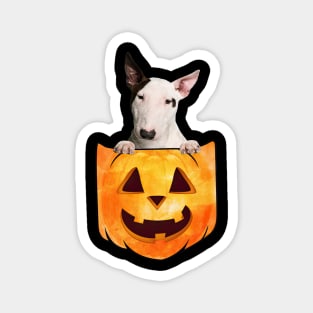 Bull Terrier Dog In Pumpkin Pocket Halloween Magnet