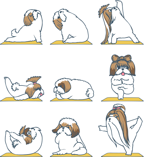 Shih Tzu Yoga Kids T-Shirt by huebucket