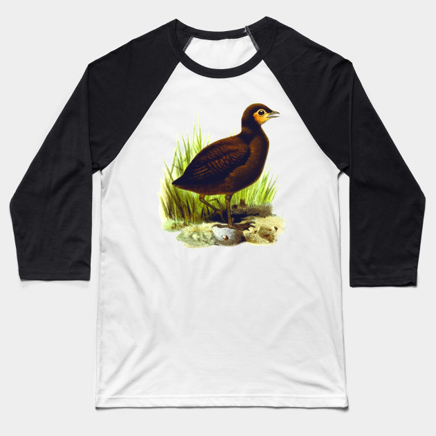 Cute Birds 3 Birds Baseball T Shirt Teepublic