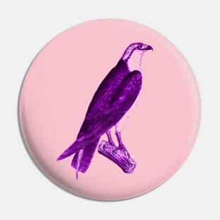 hawk,bald eagle,falcon,golden eagle,birdie,bird,bird of prey,raptor,aquila,vulture,heron,golf game,golf,eaglet,condor,haliaeetus,harpy eagle,beak,eagle putt Pin