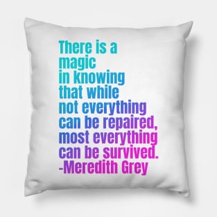 Most everything can be survived Pillow