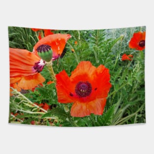 Pattern with poppy flower Tapestry