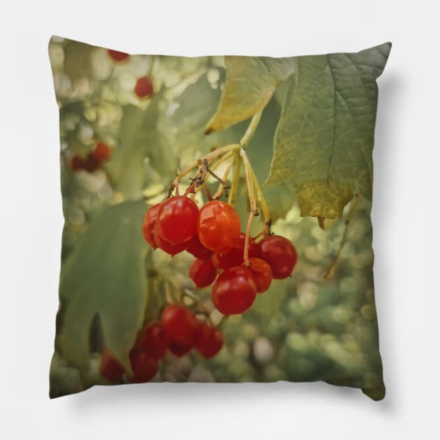 viburnum berries Pillow by psychoshadow