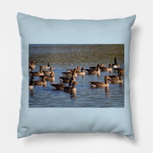 A gaggle of geese Pillow