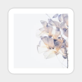 Floral Magnet