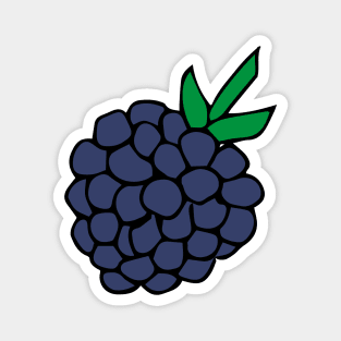 BlackBerry Magnet