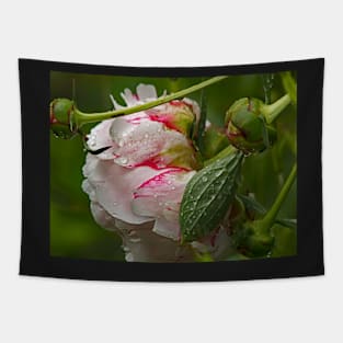 Liquid Peony Tapestry