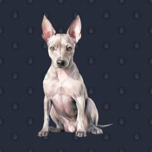 American Hairless Terrier by DavidBriotArt