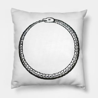 Eternal Return Pillow