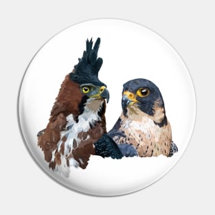 Crested Eagle and Peregrine Falcon Pin