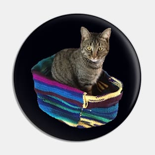 Kitty in a Basket Pin