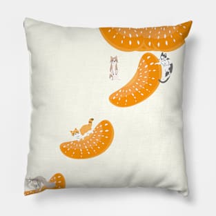 Cat and orange boat Pillow