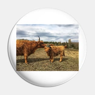 Scottish Highland Cattle Cow and Calf 1983 Pin