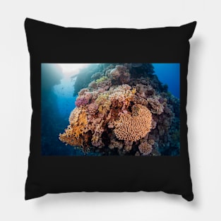 Colourful Hard Coral boulder Pillow