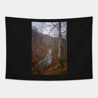 River in the mountains Tapestry