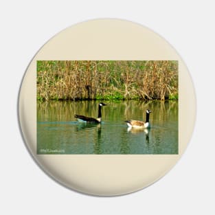 Two on a Pond Pin