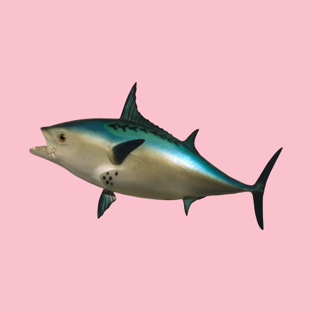 SpongeBob Fish Spongebob TShirt TeePublic