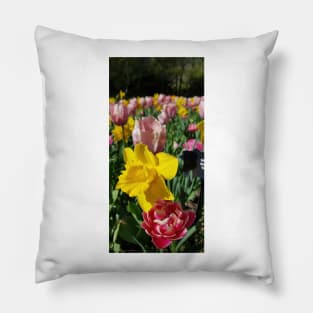 Floralia 1 Mar 2022 Pillow