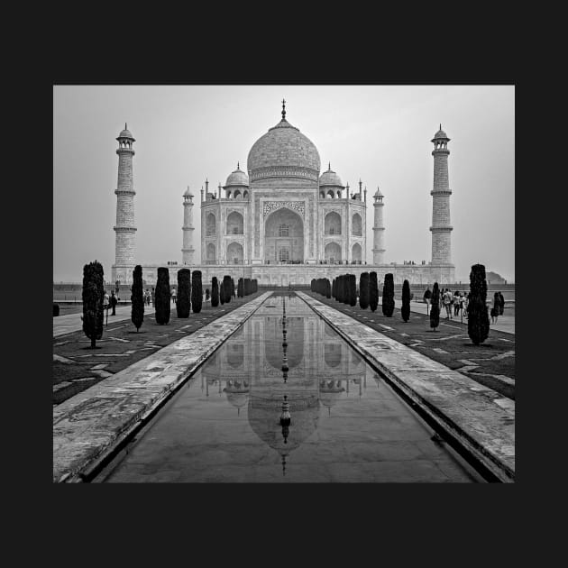 Taj Mahal at Dawn in Black and White by TonyNorth