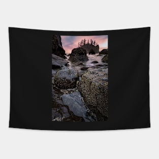 Tide Pools at Sunset Tapestry