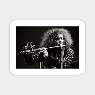 Progressive Rock Folk Rock Hard Rock Blues Rock Musician Gift Rock Icons Magnet