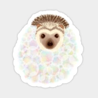 Bubble Hedgehog Magnet