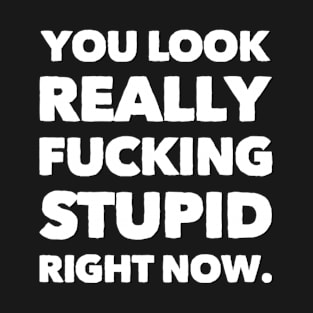 You look really stupid right now T-Shirt