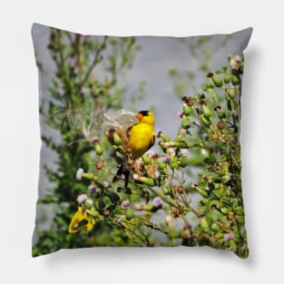 American Goldfinch Perched On Dandelions Pillow