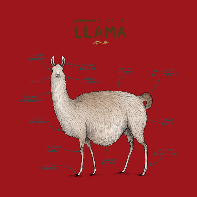 Alpaca Anatomy Chart