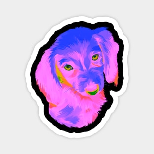 dog in pop art Magnet