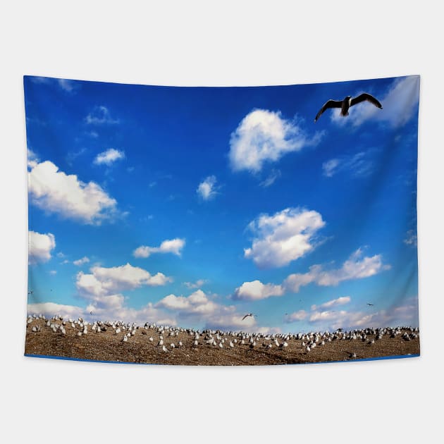 Birds On A Hill Tapestry by Rosemarie Guieb Designs