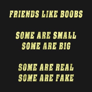 Friends Like Boobs Gift T Shirt T-Shirt