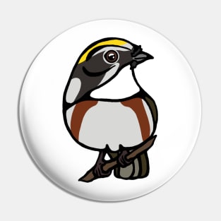 Chestnut Sided Warbler Graphic Pin