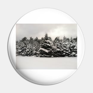 Winter Forest Pin