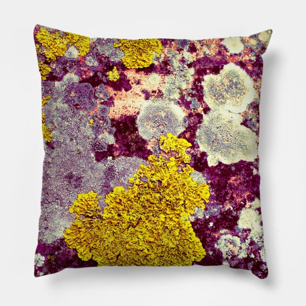 Lichen Pillow by soitwouldseem