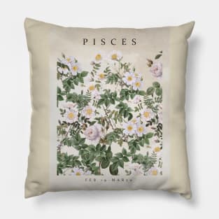 PISCES Pillow