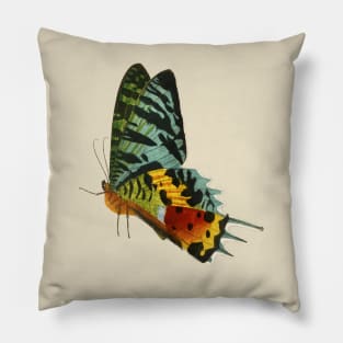 Colorful Butterfly Side view Pillow