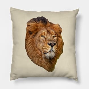 Magnificent Lion Pillow