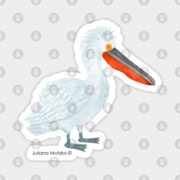 Dalmatian Pelican Bird Realistic Illustration Magnet by julianamotzko