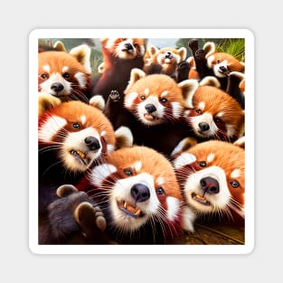 Red Panda Lesser Wild Nature Funny Happy Humor Photo Selfie Magnet