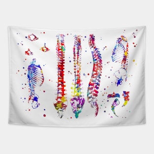 Human anatomy bones Tapestry