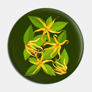 Ylang Ylang Exotic Scented Flowers and Leaves Pin